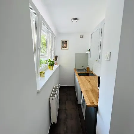 Paula's Cosy Place In The Center Of דירה לובליאנה