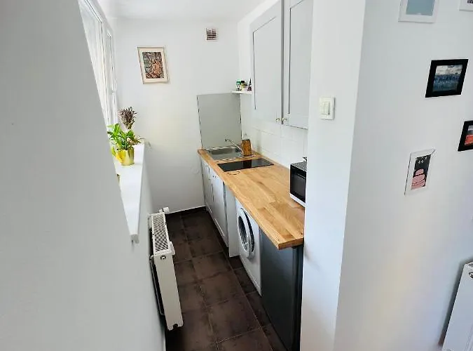 Paula's Cosy Place In The Center Of Lublaň