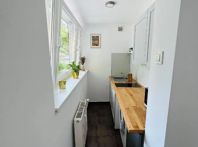 Paula's Cosy Place In The Center Of Apartment Ljubljana